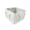 Caja 10x10 Plástica