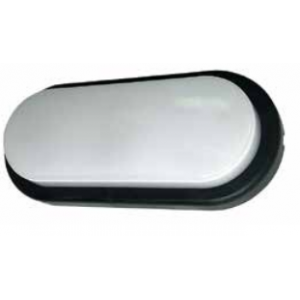 Tortuga Led